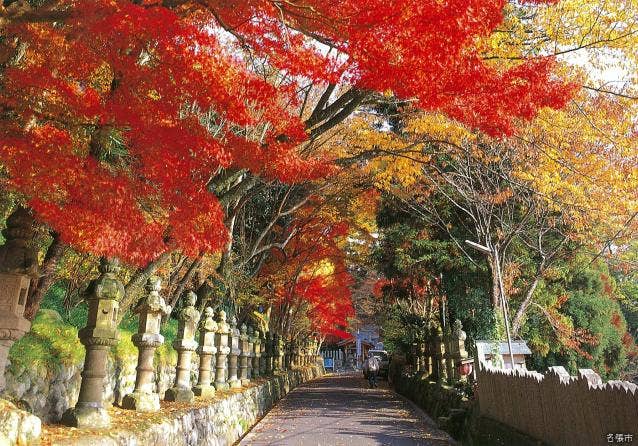 宇流冨志禰神社・石灯籠