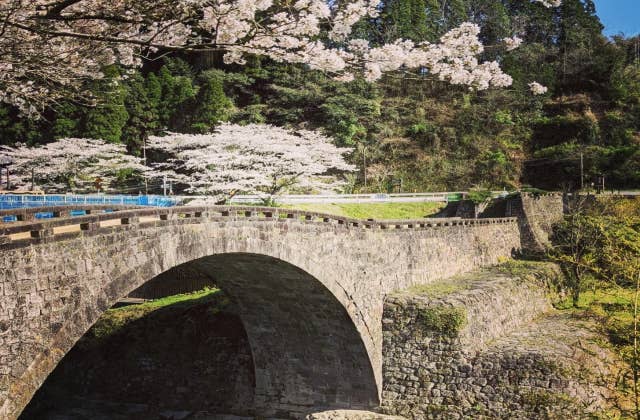 桜と霊台橋