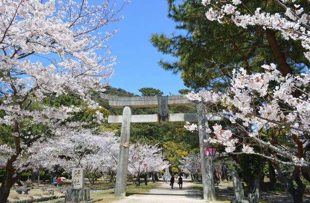 萩城跡指月公園