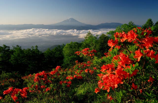 甘利山