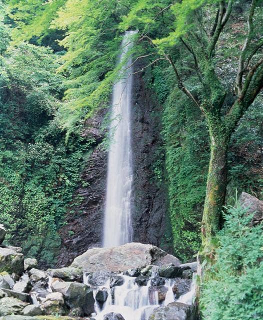 養老の滝