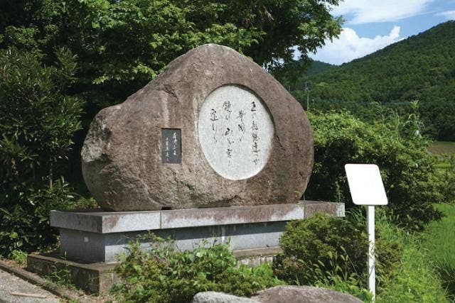 伽藍松前「手持女王」