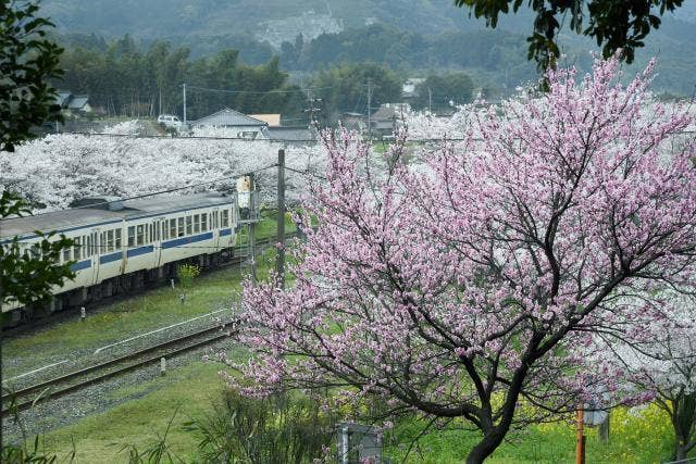 ＪＲ採銅所駅