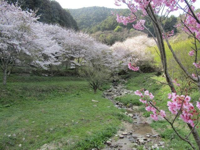 円陣の滝公園