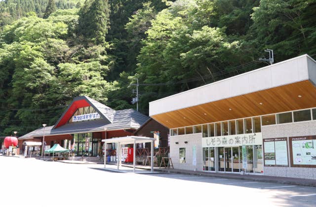 道の駅はが、森の案内所