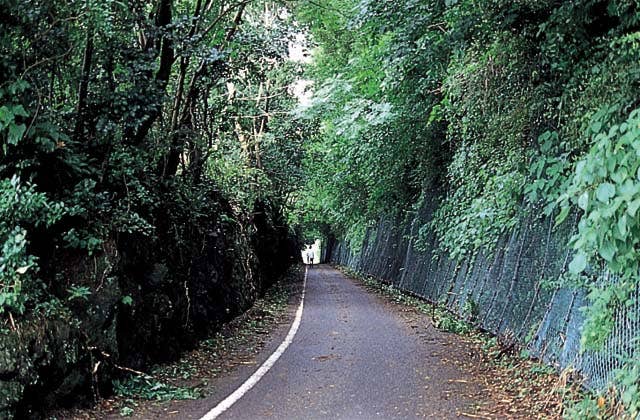 旧小浜鉄道跡