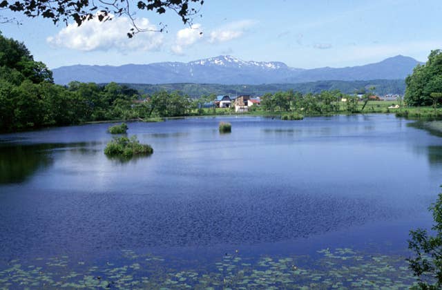 浮島公園