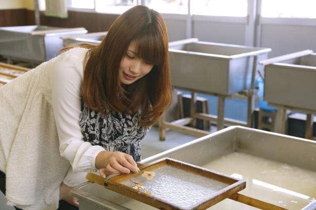 越前和紙の里パピルス館