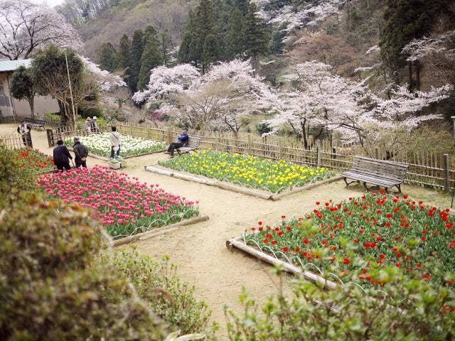 吾妻公園