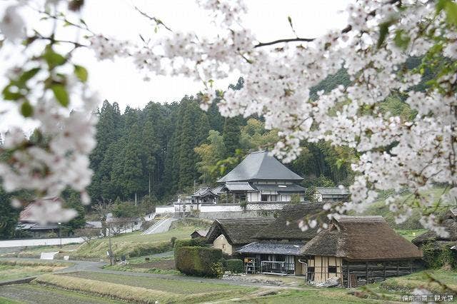 春・八塔寺