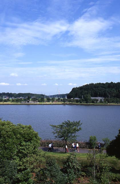 ふれあい坂田池公園