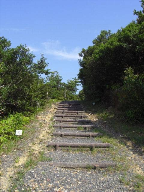 南海展望公園への階段