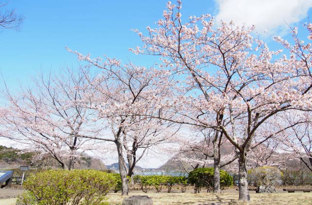 宮橋公園