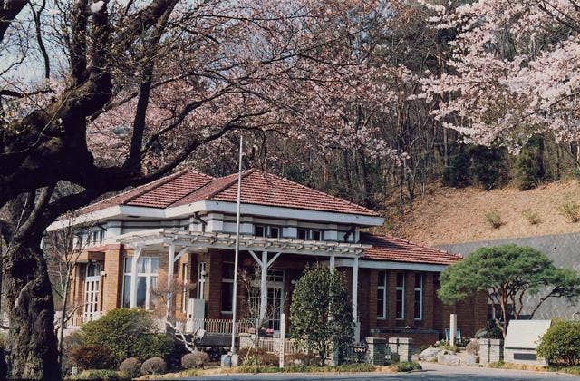 水道山公園の桜