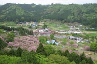 やすらぎの里公園