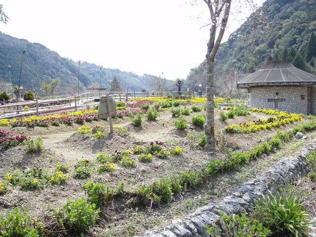 地元ボランティアにより整備された花