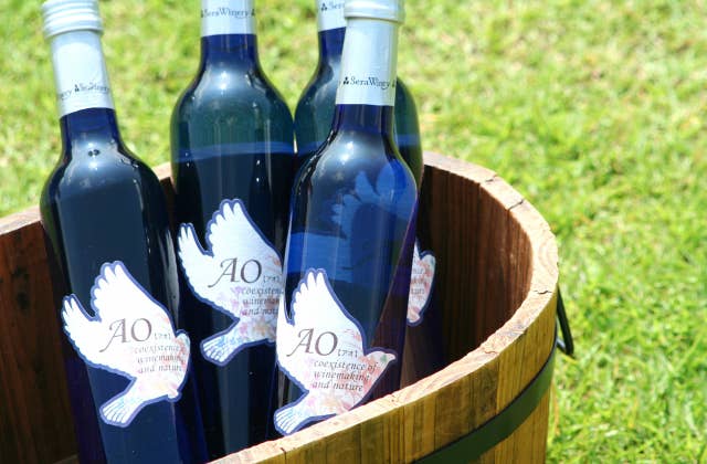 青い鳥プロジェクトシンボルワイン「AO -アオ-」