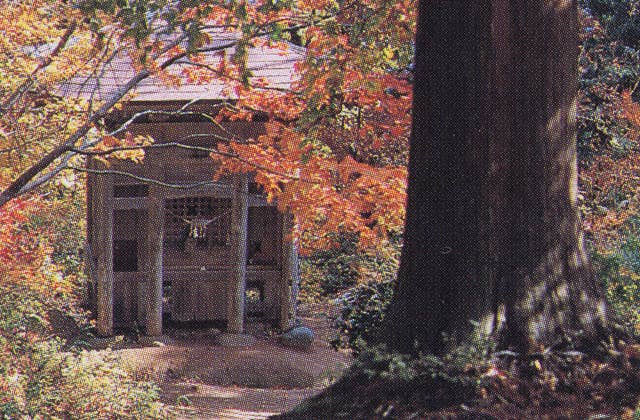 金峯山の紅葉