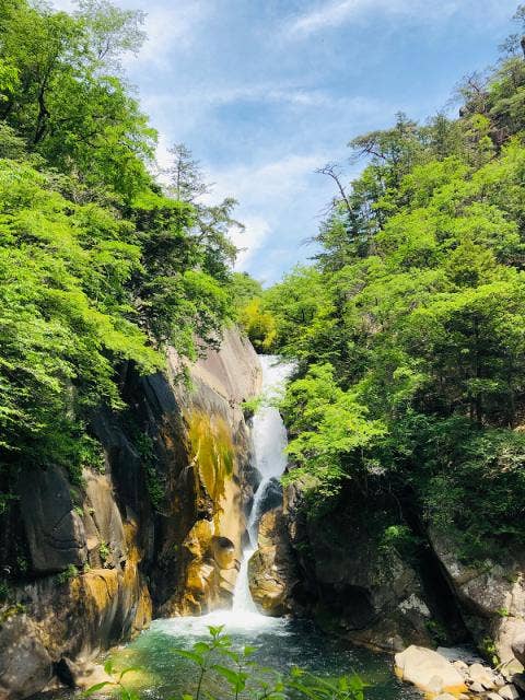 新緑の仙娥滝
