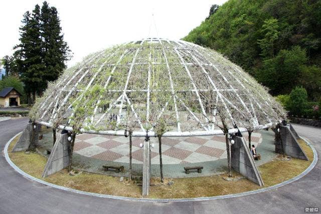 森林公園ゆらぎの森