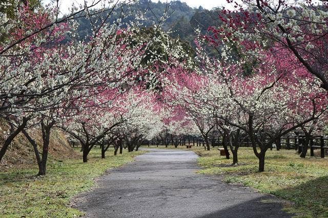 楠山公園