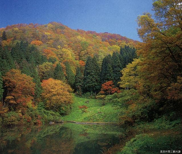 嘉例沢森林公園