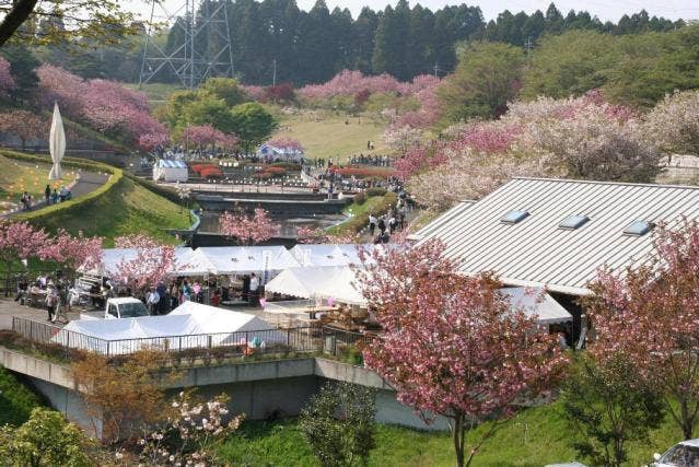 静峰ふるさと公園