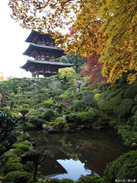 當麻寺西南院庭園