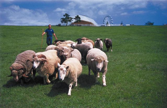 マザー牧場 / 千葉県 -【JAPAN 47 GO】