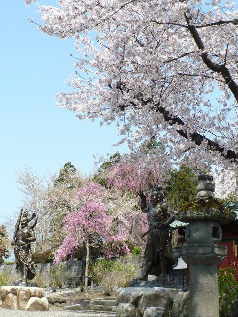 真光寺庭園