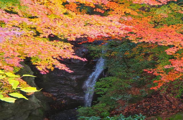 もみじロード地蔵堂の滝