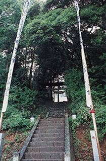 河井八幡宮の社叢