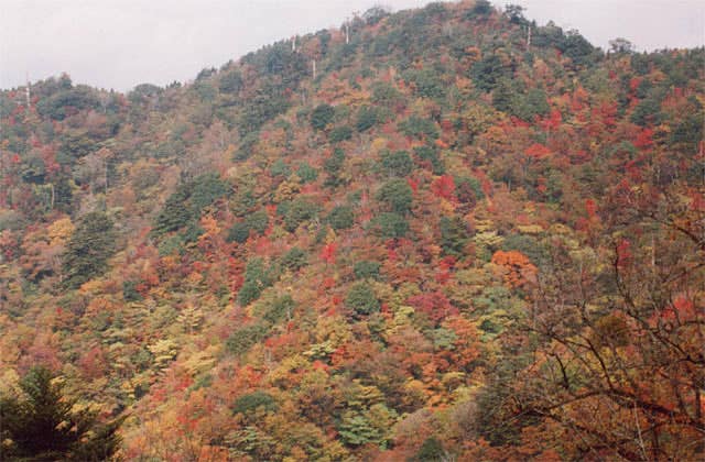 酒呑童子山