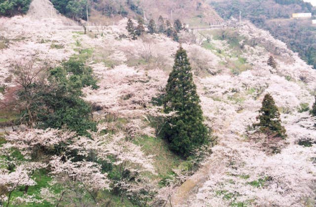 八木山展望公園