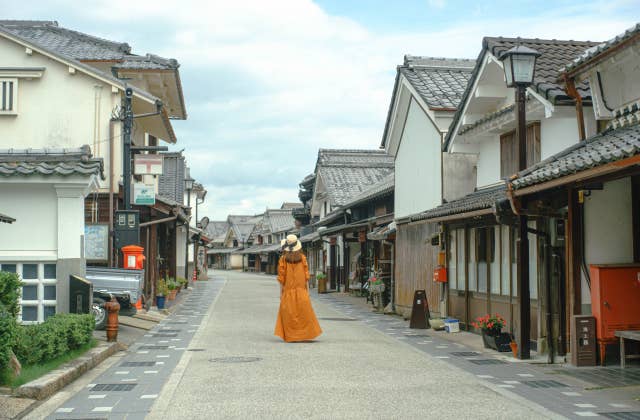 篠山河原町妻入商家群