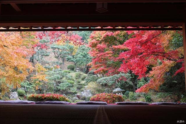 徳源院の庭園