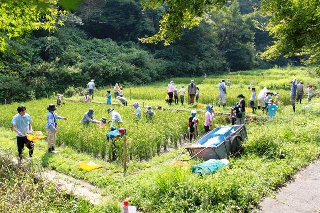 都立小峰公園