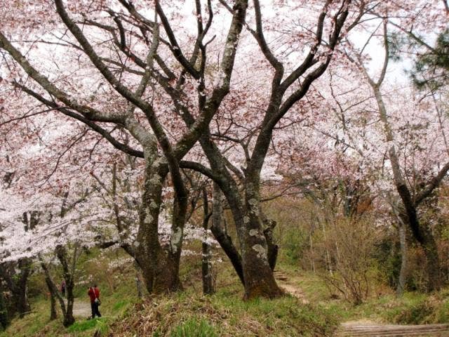 都立小峰公園