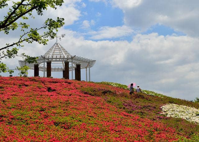 都立秋留台公園