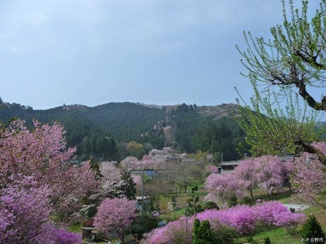 乙津花の里