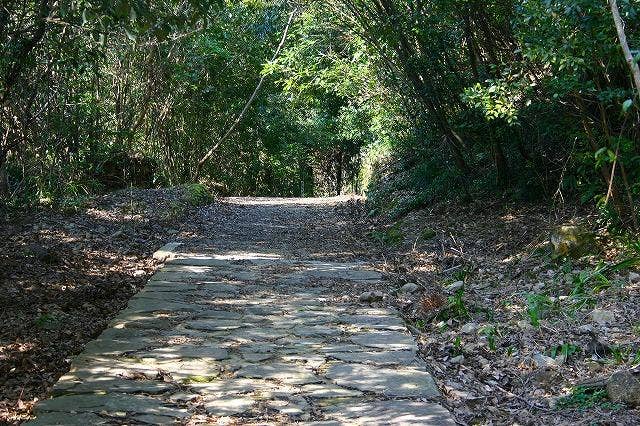 羅漢寺旧山道