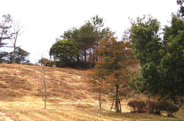 平田森林公園