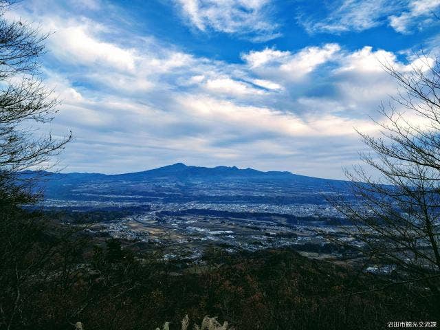 河内神社からの眺望