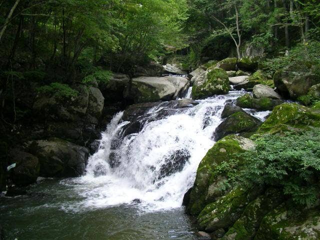 山鶏滝