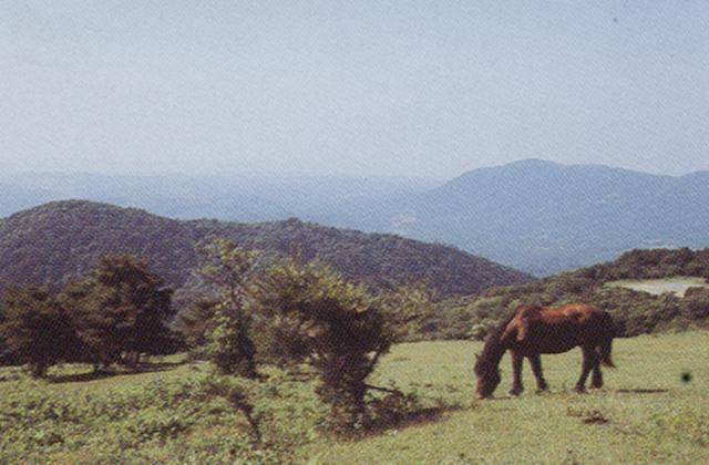 水石山