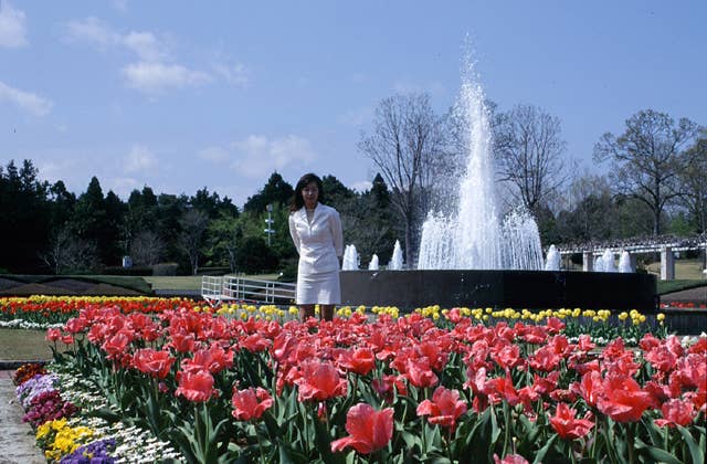 茨城県植物園のチューリップ