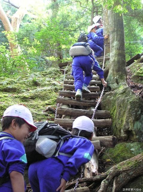 登山道の一部