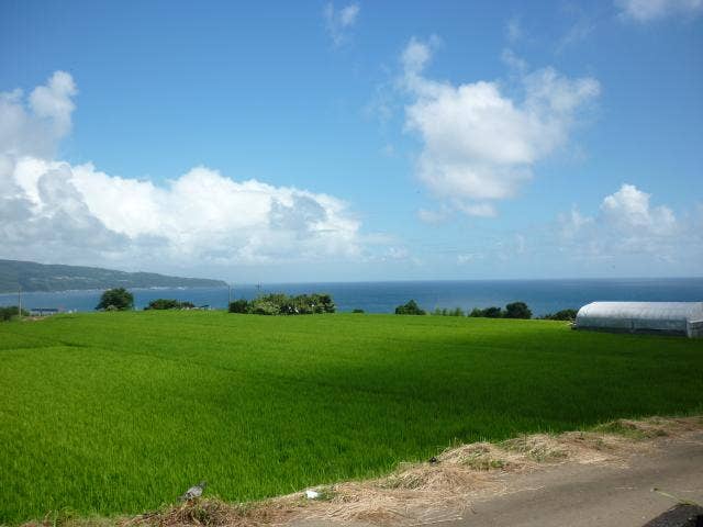 大野台地