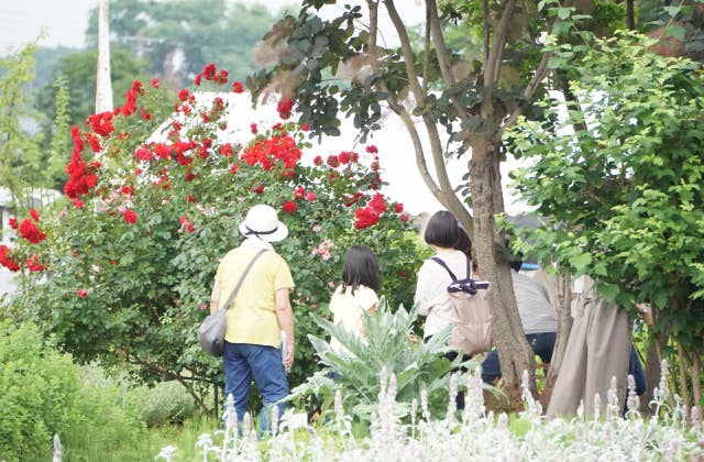 置賜公園ハーブガーデンフェア期間中の写真