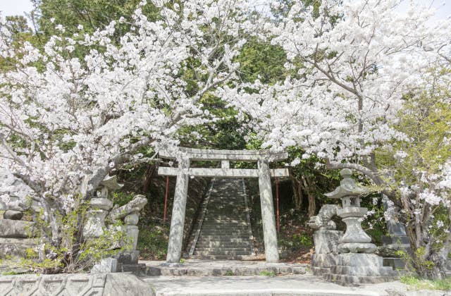 春の鏡山大神社